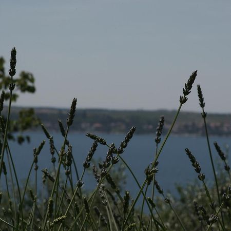 Apartments Hafner Portoroz Bagian luar foto