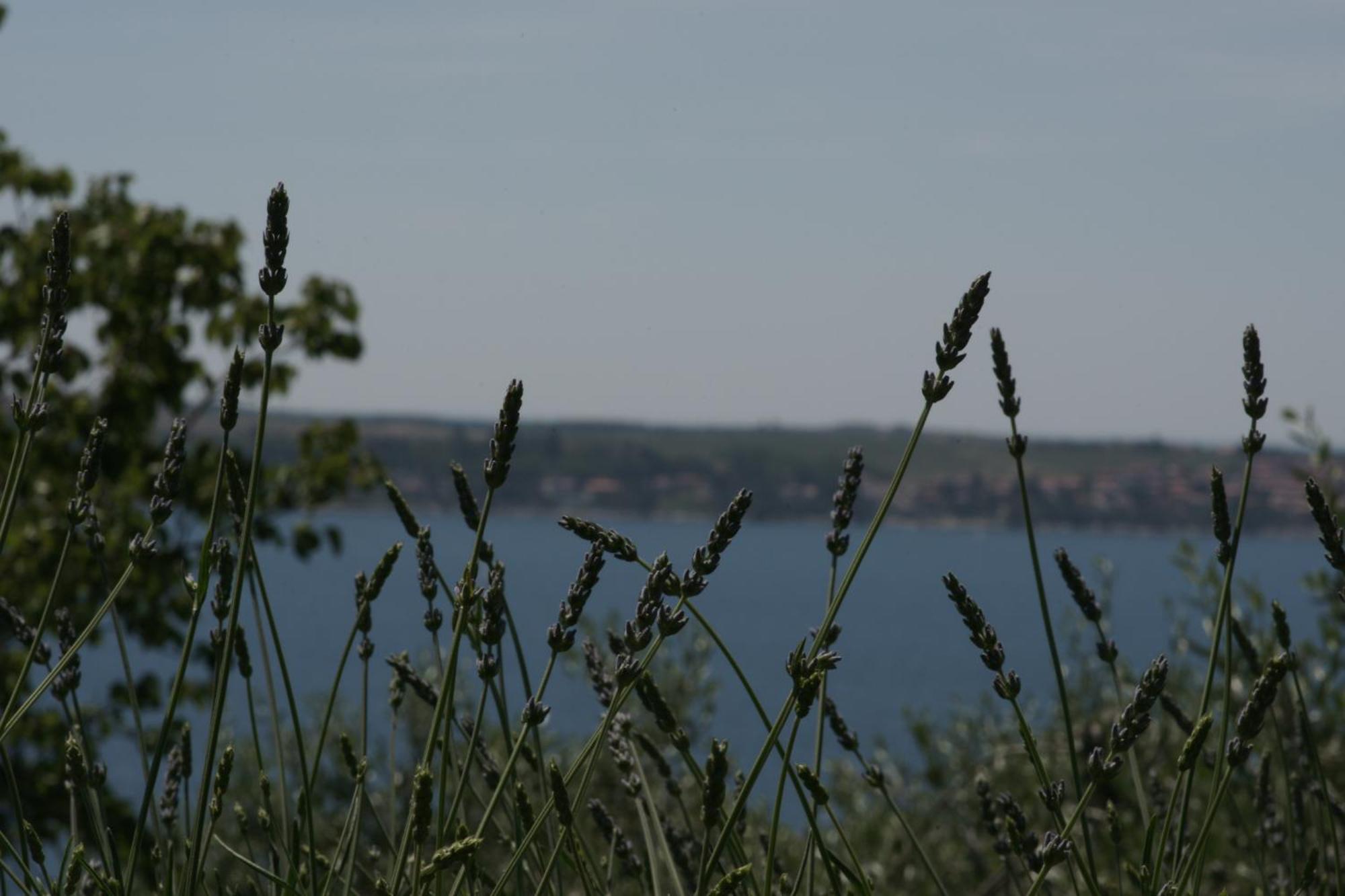 Apartments Hafner Portoroz Bagian luar foto